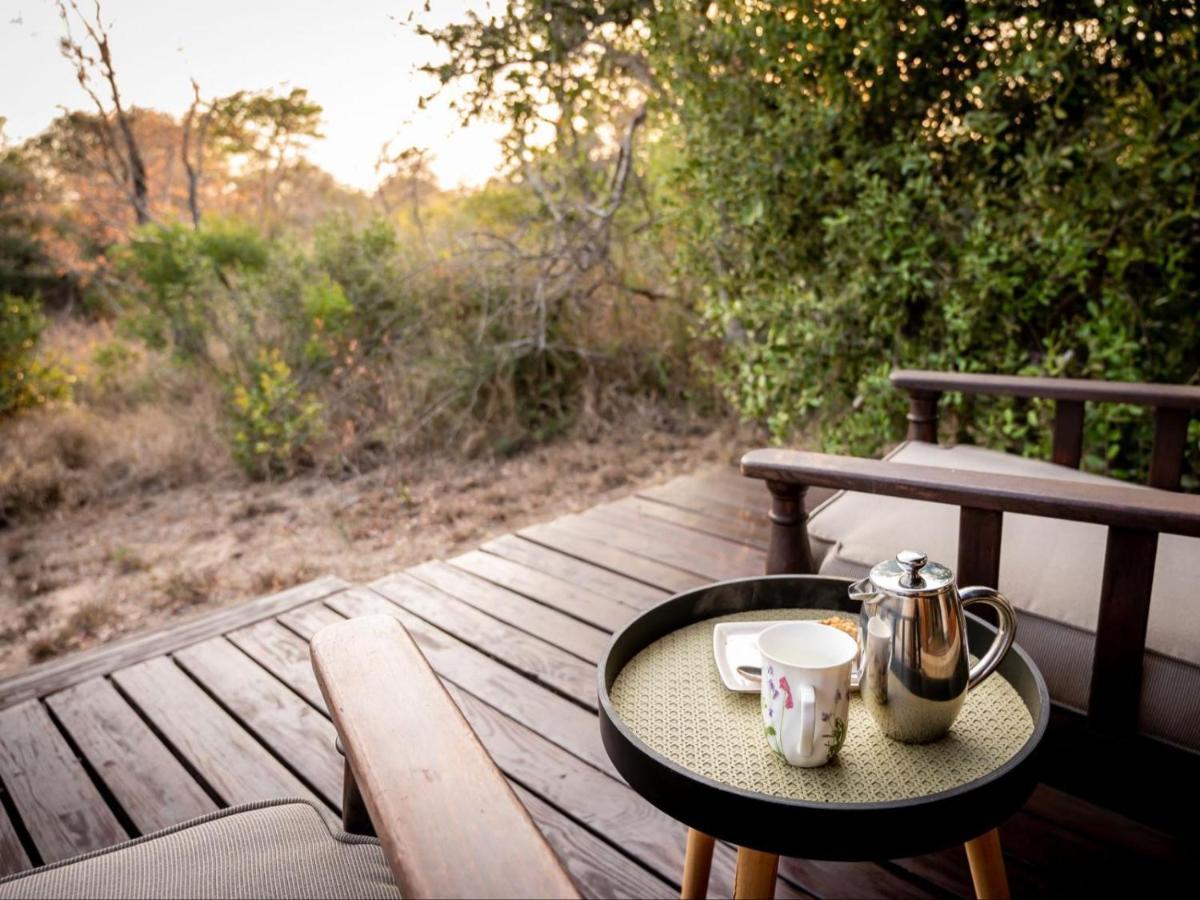 Shimungwe Lodge, Thornybush Game Reserve Hoedspruit Dış mekan fotoğraf